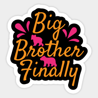 Big Brother Finally T Shirt For Women Men Sticker